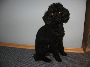 Stanley